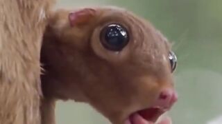 When you wake up in the morning
