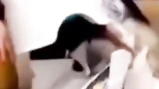 Nos amis les bébés