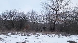Two Months in the Wilderness: My Journey Building and Living in a Forest Shelter"