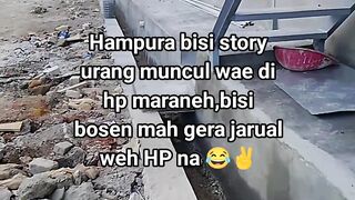 ayam broiler || kata kata lucu 625