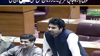 PTI lion in PNA