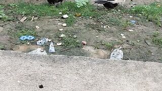 Mentok Nenek