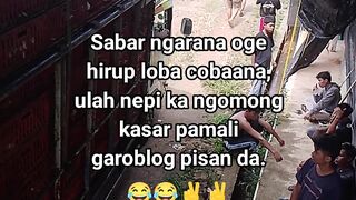 ayam broiler || kata kata lucu 628