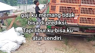 ayam broiler || kata kata lucu 630