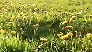 الأذكار الصباحية | اذكار الصباح