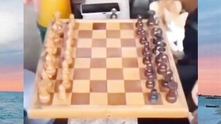 The video is funny ???? ????