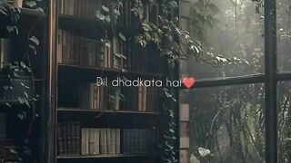 Tu hain toh - Mr. _ Mrs. mahi _ WhatsApp Status