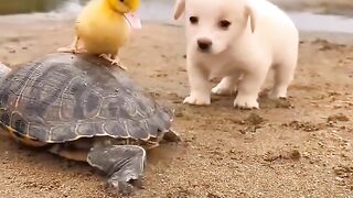 _trending _viral _animallover