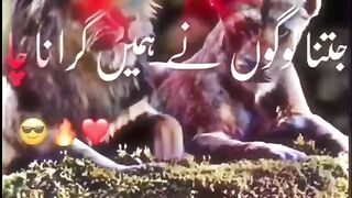 Funny Videos 51