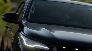 Black Fortuner