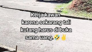 ayam broiler || kata kata lucu 634