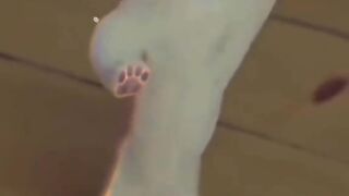 ترفيه 2
