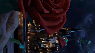 The Beauty and the Beast............