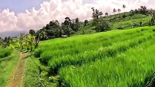 View beauty