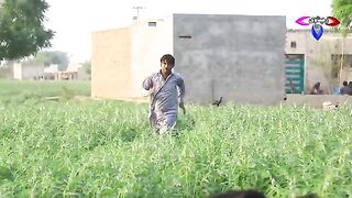 #weddingday | Ramzi Sughri, Koki, Jatti, & Mai Sabiran,Bhotna,Sanam New Funny Video By Rachnavi Tv