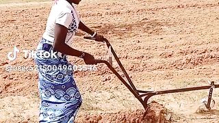 Les braves femmes