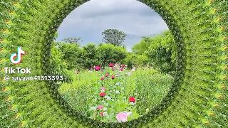 videos follow me