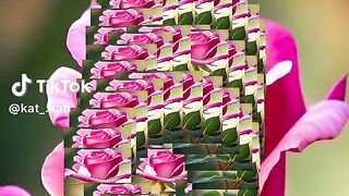 Malik touqeer abbas khan videos follow me 26