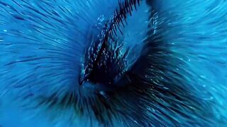 Animation video 3