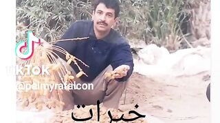 خيرات واحة تدنر
