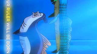 One piece 34