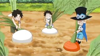 One piece 36