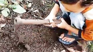 Planting 5
