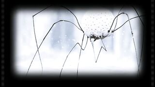 "I Have Discovered A New Species of Arachnid"