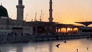 مدینہ میں شام کا منظر