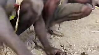 Hadzabe hunters