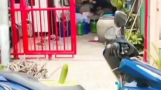 Video lucu memes video
