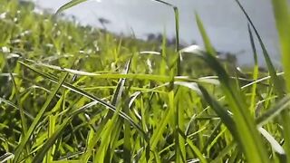 Fresh Air