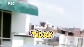 Sedih seekor burung melindungi anaknya