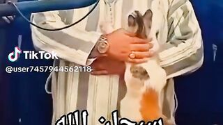 هل تتذكرون قصة الامام والقطة