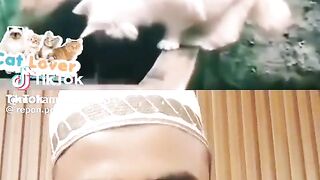 قطة تلتزم بالصلاة في اطهر البقاع