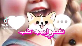 نفسي أجيب كلب