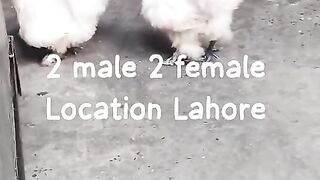 Location location