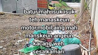 ayam broiler || kata kata lucu 637