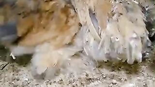 Dumra khukali