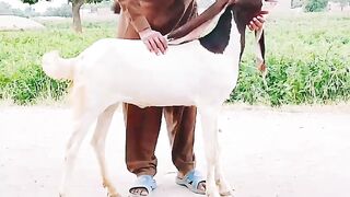 Ye kitni achi hay