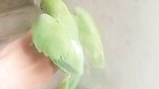 Lower hand