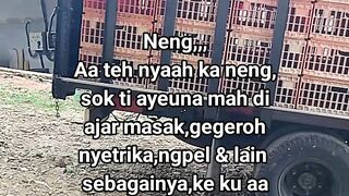 ayam broiler || kata kata lucu 639
