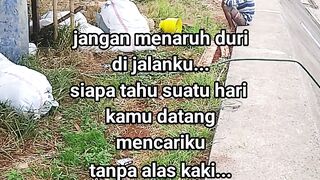 ayam broiler || kata kata lucu 641