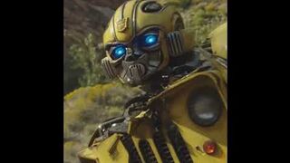 Best representation of bumblebee