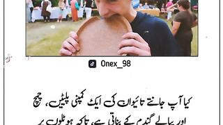 Ajeeb o greeb 3