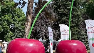 ПРАЗНИК НА ЧЕРЕШАТА В КЮСТЕНДИЛ