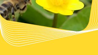 Science Facts-Genetics of Living Organisms,Einstein's Theory of Relativity,Big Bang Theory-English