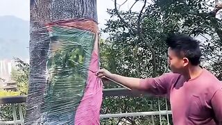 Wow Amazing art