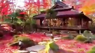 Beautiful place 51