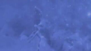 Let It Go But It_s Donald Duck(360P).